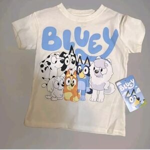 Bluey New Shirt 4t